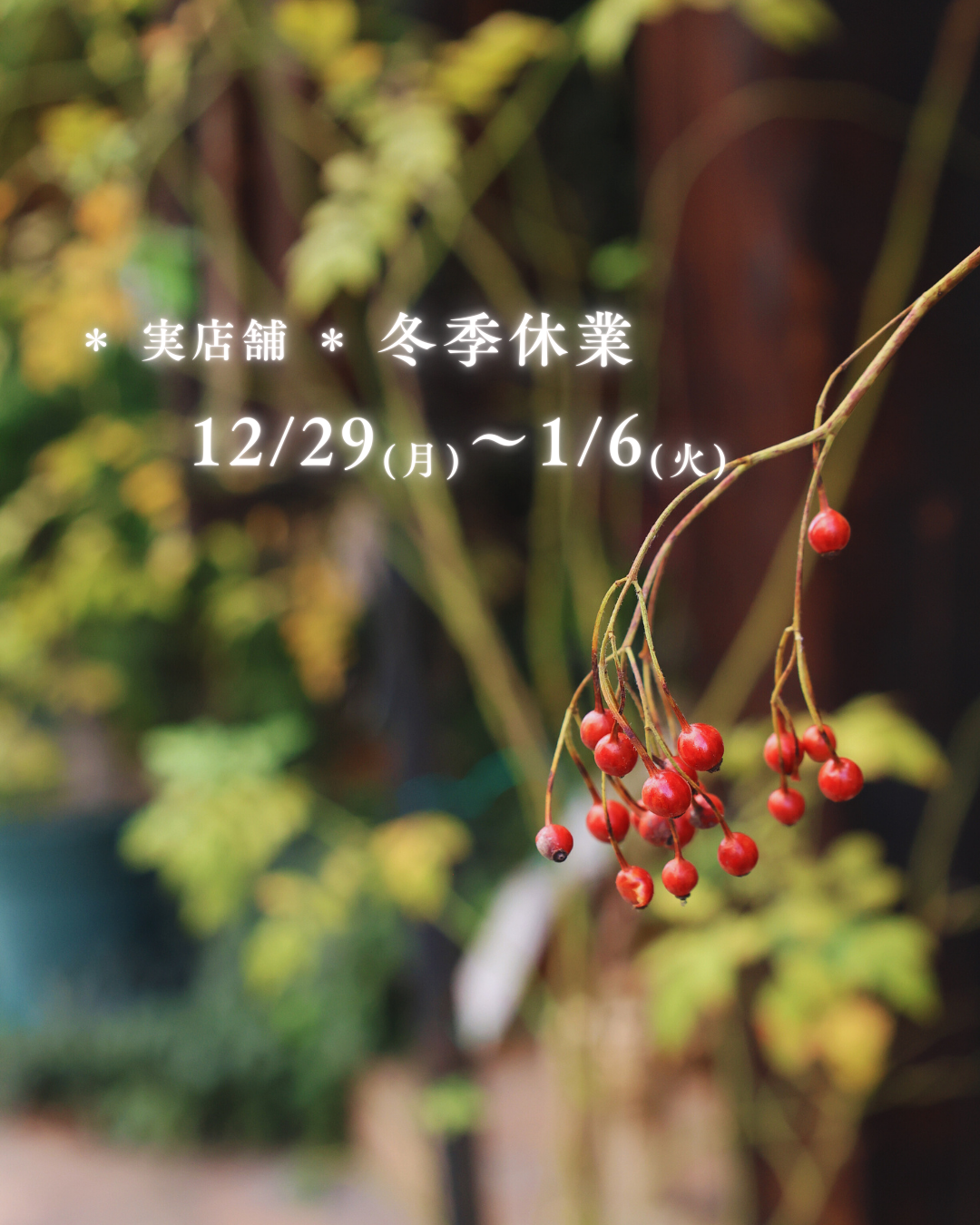 Tokisora　宝石修飾工房波多ゑ　冬季休業