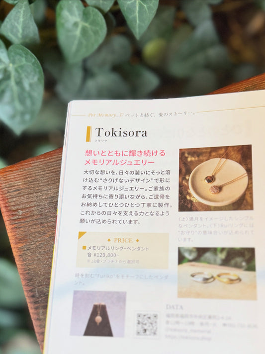 Tokisora　雑誌掲載