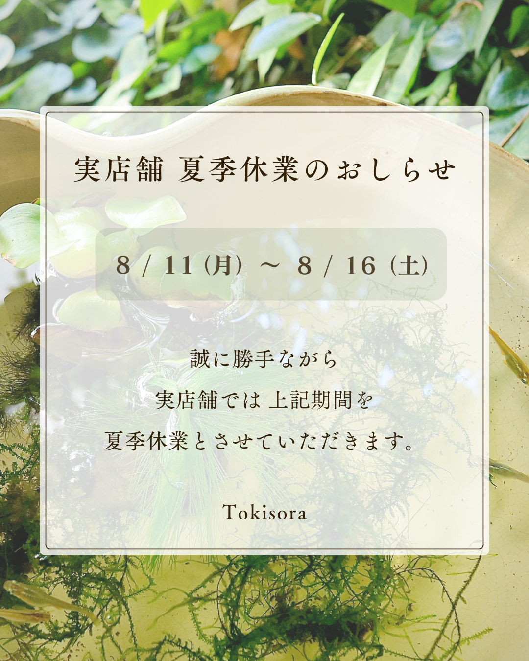 【 ご案内 】実店舗 夏季休業のお知らせ